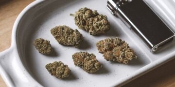 Amount of Weed by Weight