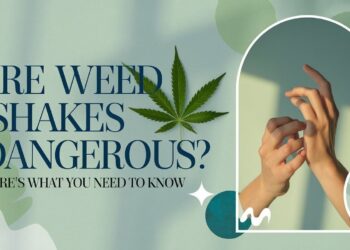 Are Weed Shakes Dangerous