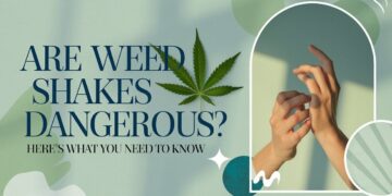 Are Weed Shakes Dangerous