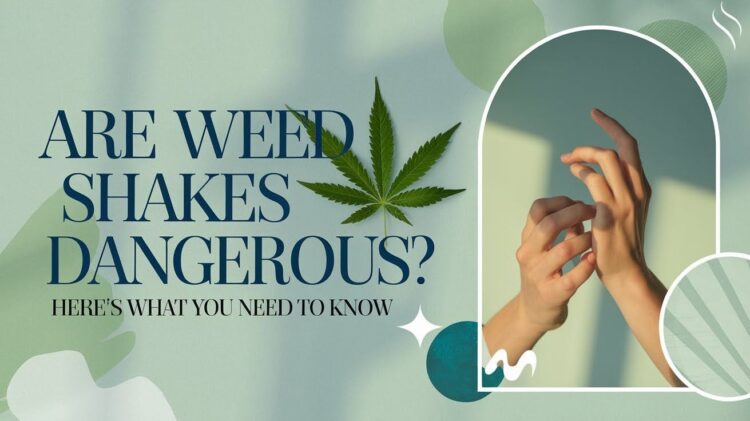 Are Weed Shakes Dangerous