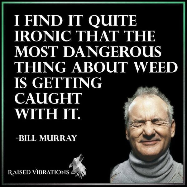 Bill Murray's Legal Wisdom