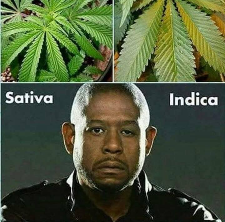  Forest Whitaker's Asymmetrical Eyes