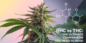 HHC vs THC