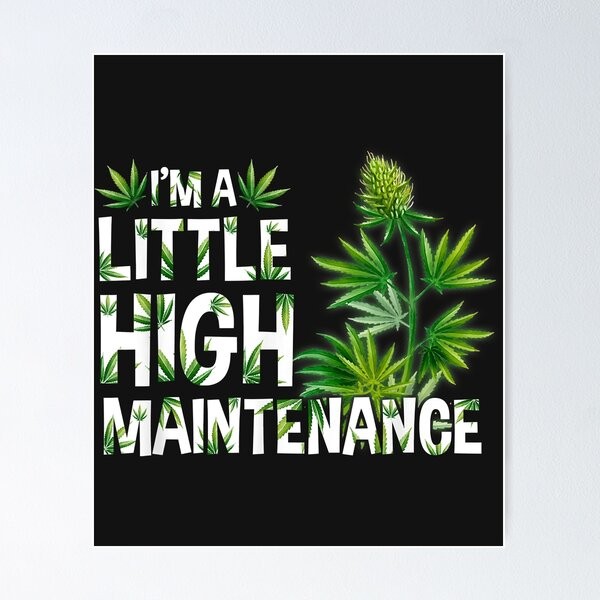 High Maintenance