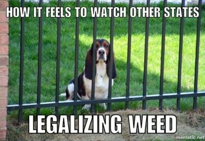 Legalization Envy