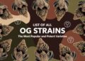 List of All OG Strains