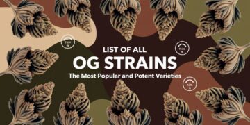 List of All OG Strains