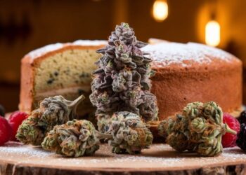 London Pound Cake Strain: Flavor, Effects & Genetics  