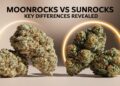 Moonrocks vs Sunrocks