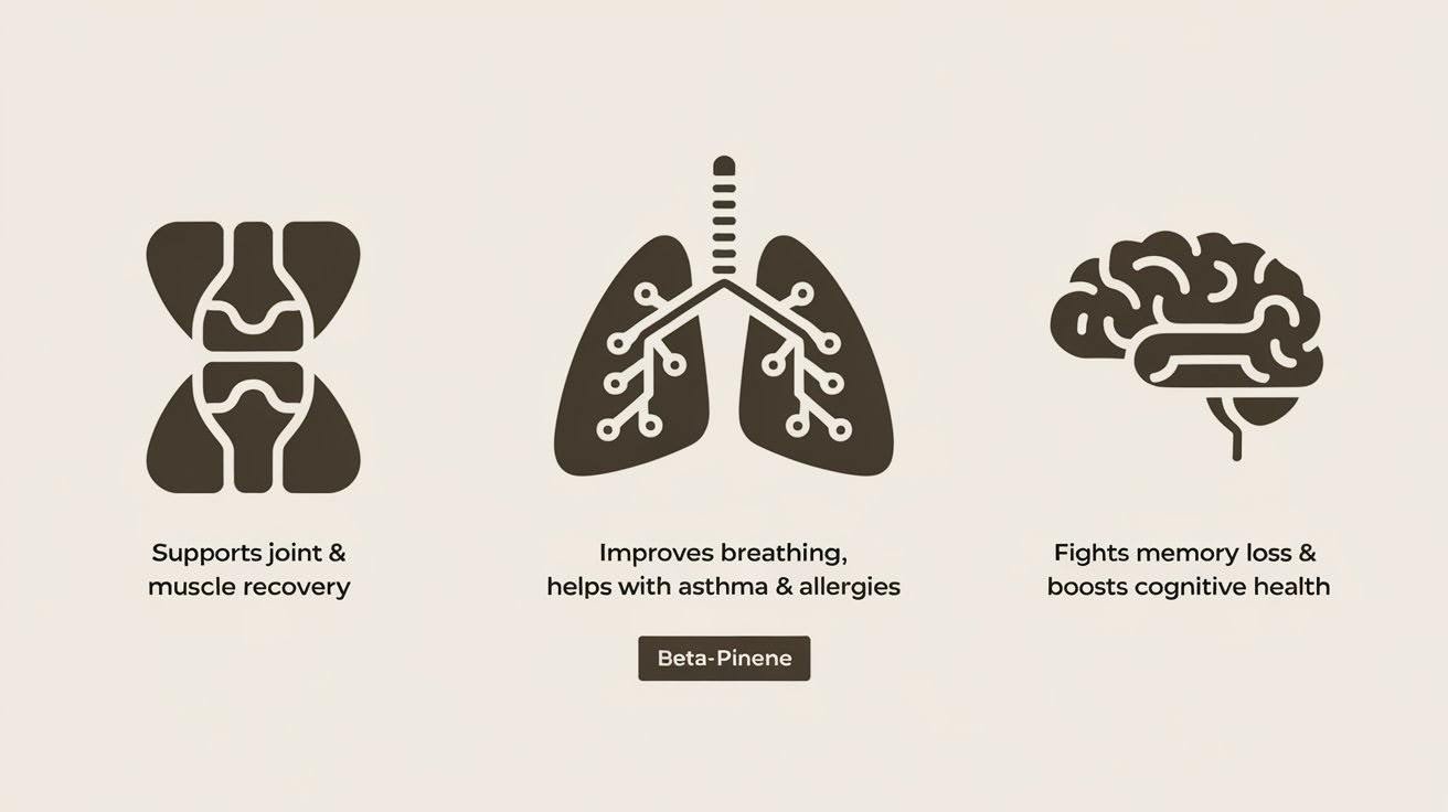 Physical Health Effects