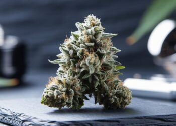 Sour Diesel Benefits
