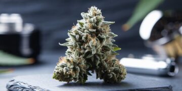 Sour Diesel Benefits