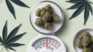Weed Size Chart: Grams, Ounces, and Common Quantities - WeedInsight