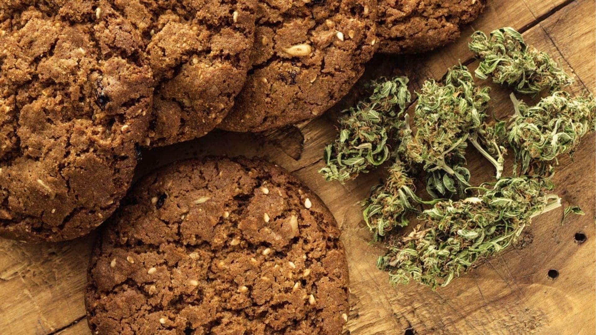 Close-up of homemade cannabis cookies next to dried cannabis flower buds on rustic wooden table