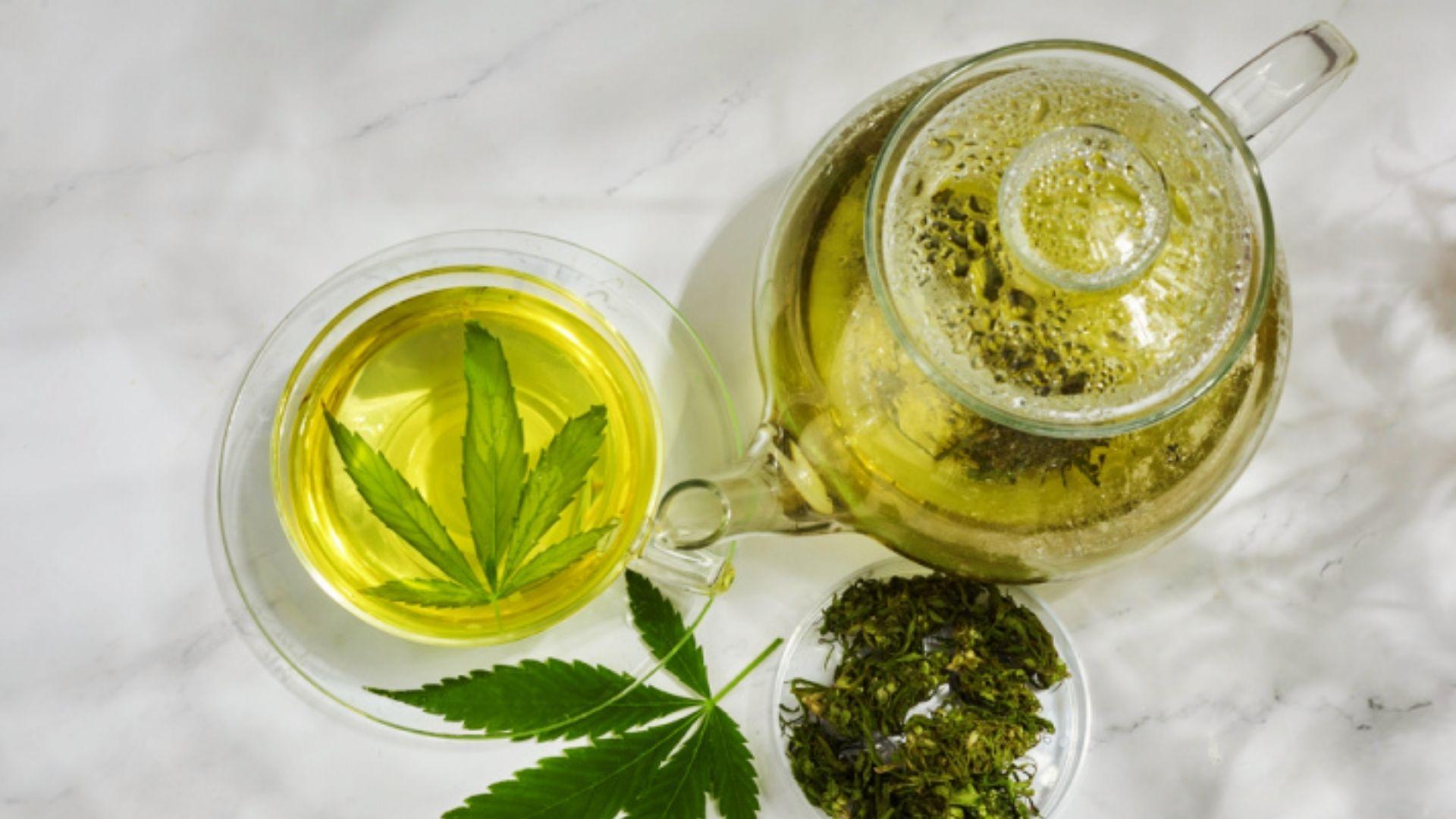 Glass teapot and cup of cannabis infused tea with fresh leaves and dried buds on marble for easy homemade edibles
