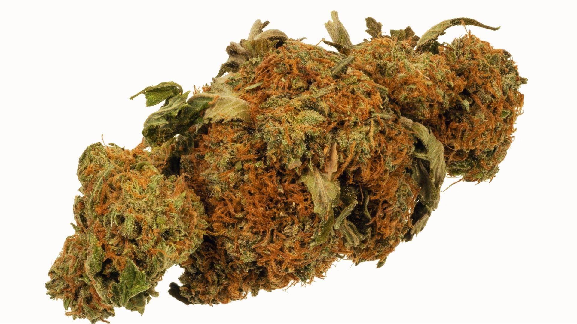 Close-up of dried cannabis bud with orange hairs on white background, often linked to potency and anxiety after smoking.
