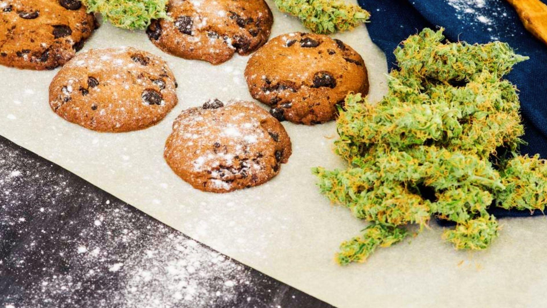 Freshly baked chocolate chip cannabis cookies with dried buds and flour dusting on parchment for classic edibles