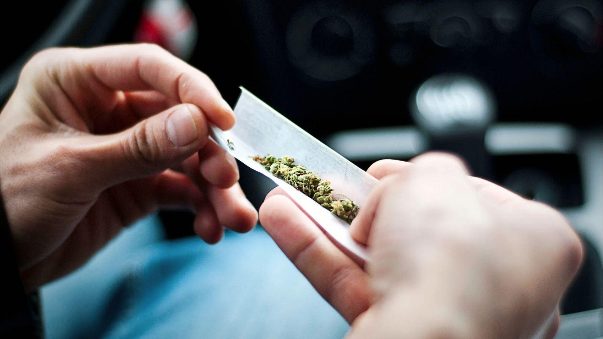 Person rolling cannabis in a rolling paper inside a car, showing the source of weed odor