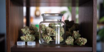 "Properly stored cannabis buds in an airtight glass jar kept in a cool dark place to preserve weed potency and freshness."