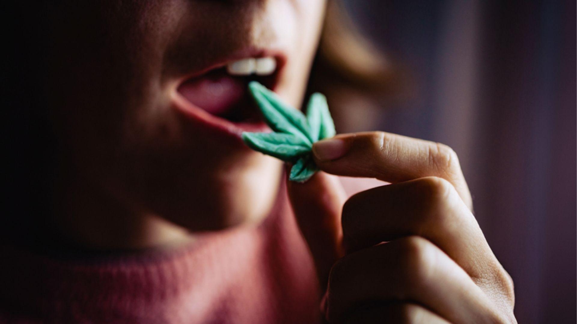 Close-up of person placing green cannabis leaf shaped edible gummy in mouth showing how THC edibles cause cotton mouth