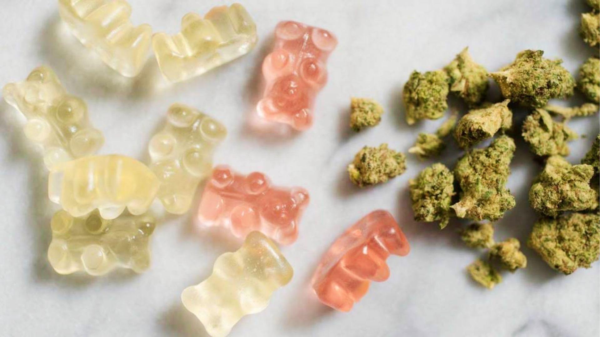 Pink and yellow cannabis gummy bears scattered beside broken up cannabis flower on white marble counter