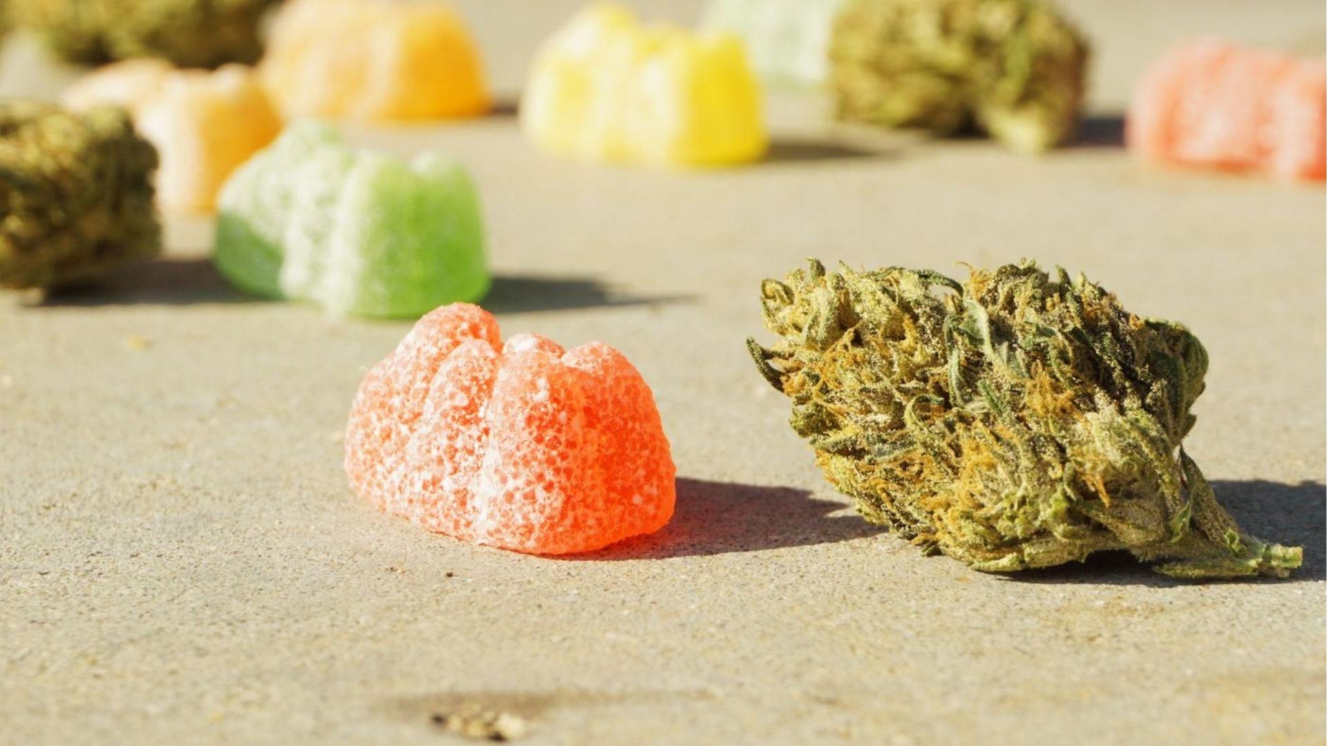 Colorful cannabis gummy edibles and a cannabis nug placed outdoors on sandy surface in sunlight