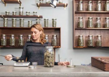 Dispensary worker weighing cannabis buds by glass jars. Stored right, marijuana stays good 6-12 months