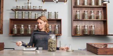 Dispensary worker weighing cannabis buds by glass jars. Stored right, marijuana stays good 6-12 months