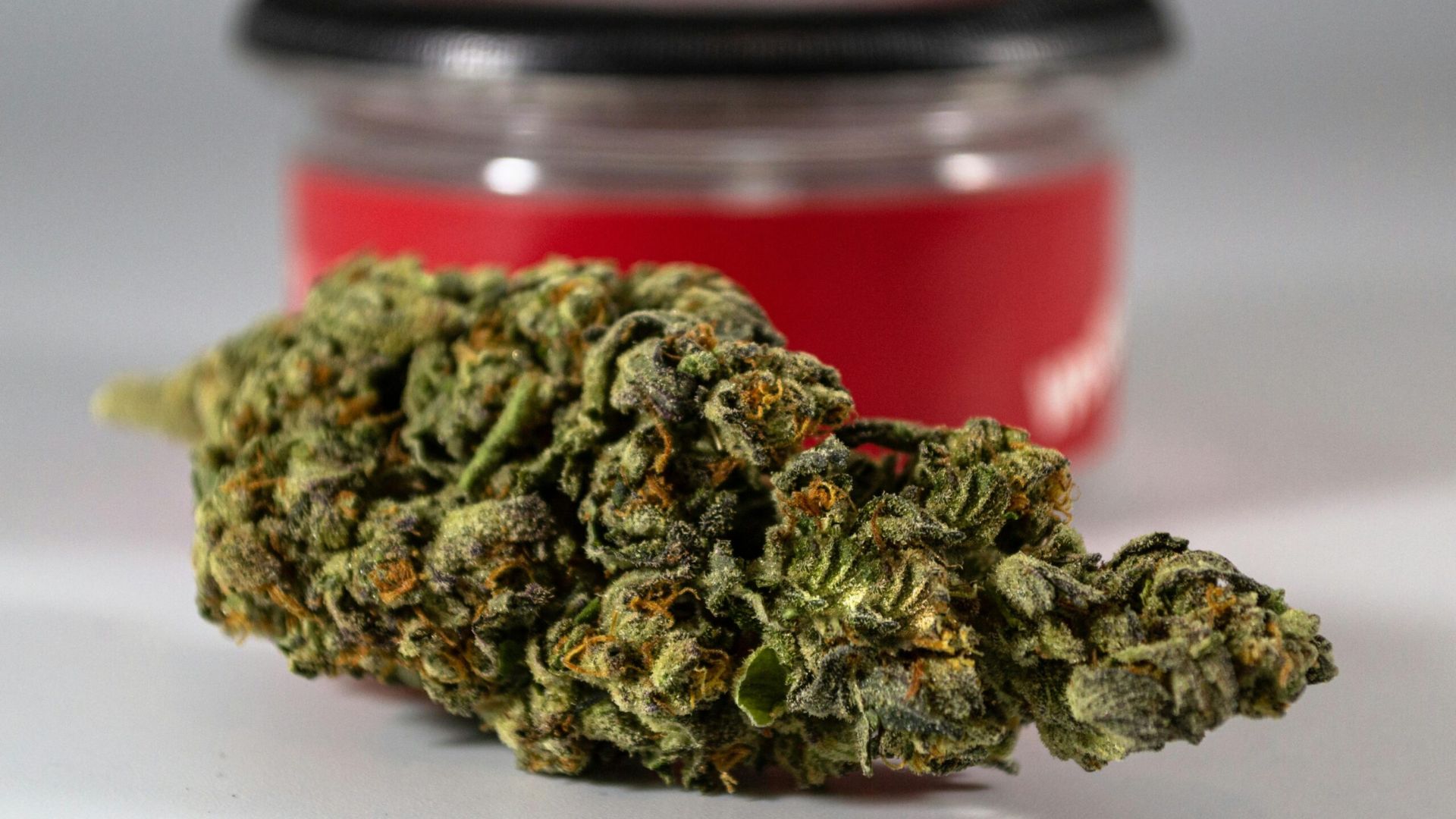 Dried out crumbly cannabis shows aging signs when marijuana loses potency and goes bad over time