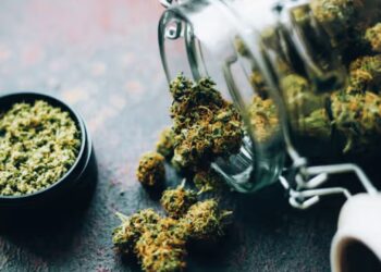 Humidity pack with cannabis in an airtight container demonstrates preventing marijuana from going bad.