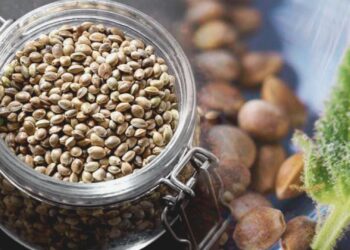 Clear glass clamp jar overflowing with cannabis seeds, next to a fresh green leaf and blurred seeds in background.
