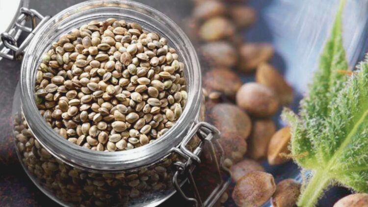 Clear glass clamp jar overflowing with cannabis seeds, next to a fresh green leaf and blurred seeds in background.