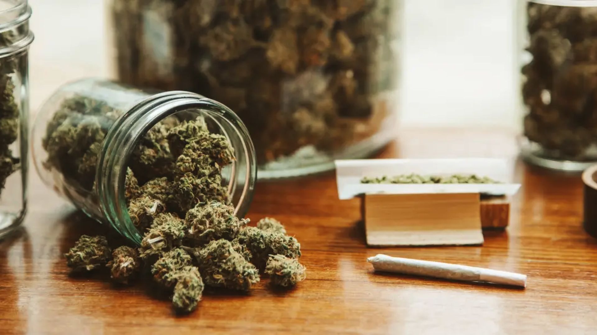 Cannabis buds spilling from a glass jar with joints nearby. Store airtight and dark to keep fresh for 1 year.