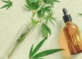 Flat lay of an amber CBD or CBG oil dropper bottle next to fresh cannabis leaves and a glass test tube with plant sprigs
