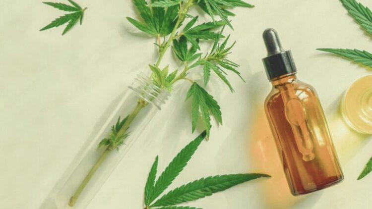 Flat lay of an amber CBD or CBG oil dropper bottle next to fresh cannabis leaves and a glass test tube with plant sprigs