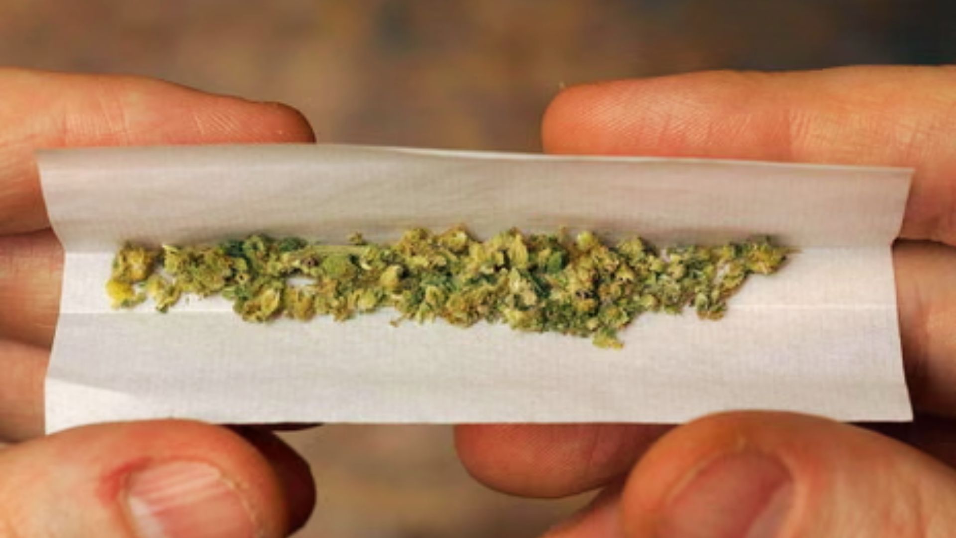 Fresh cannabis buds stored in glass jars show proper storage helps marijuana stay good longer