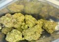 Dense frosty cannabis buds with purple hues and orange hairs packed tightly inside clear resealable plastic bag against reflective surface.