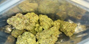 Dense frosty cannabis buds with purple hues and orange hairs packed tightly inside clear resealable plastic bag against reflective surface.