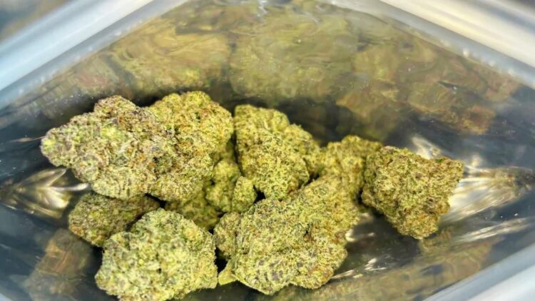 Dense frosty cannabis buds with purple hues and orange hairs packed tightly inside clear resealable plastic bag against reflective surface.