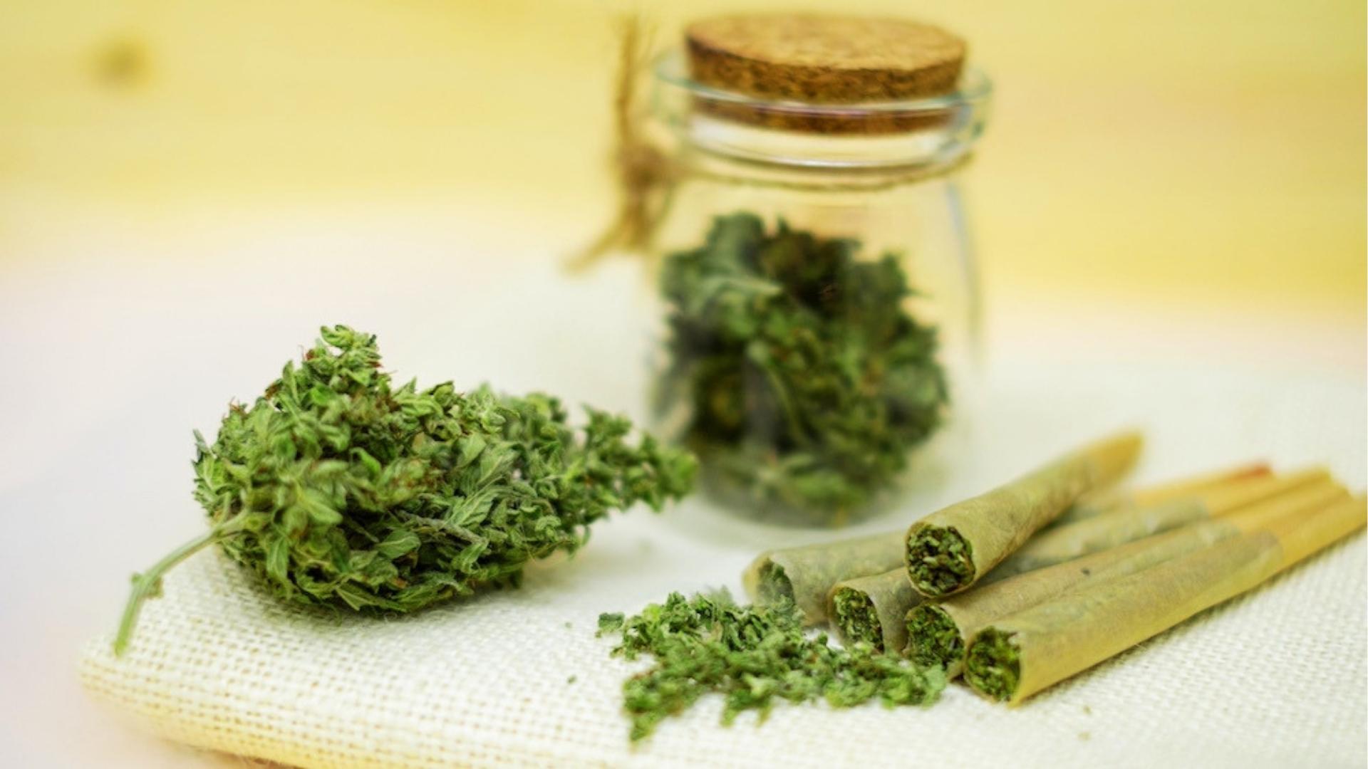 Glass jar with cork lid holding cannabis beside loose bud and five pre-rolled joints on white cloth with yellow backdrop.