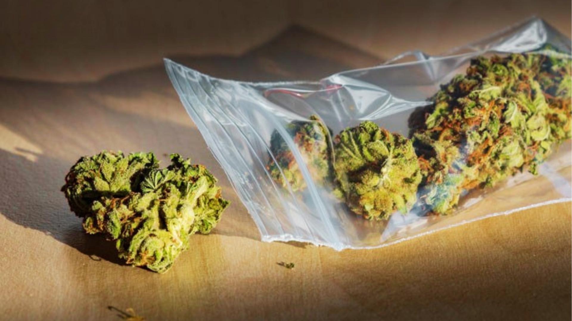 Cannabis buds stored in clear plastic baggie with additional loose bud beside it on brown paper surface in sunlight.
