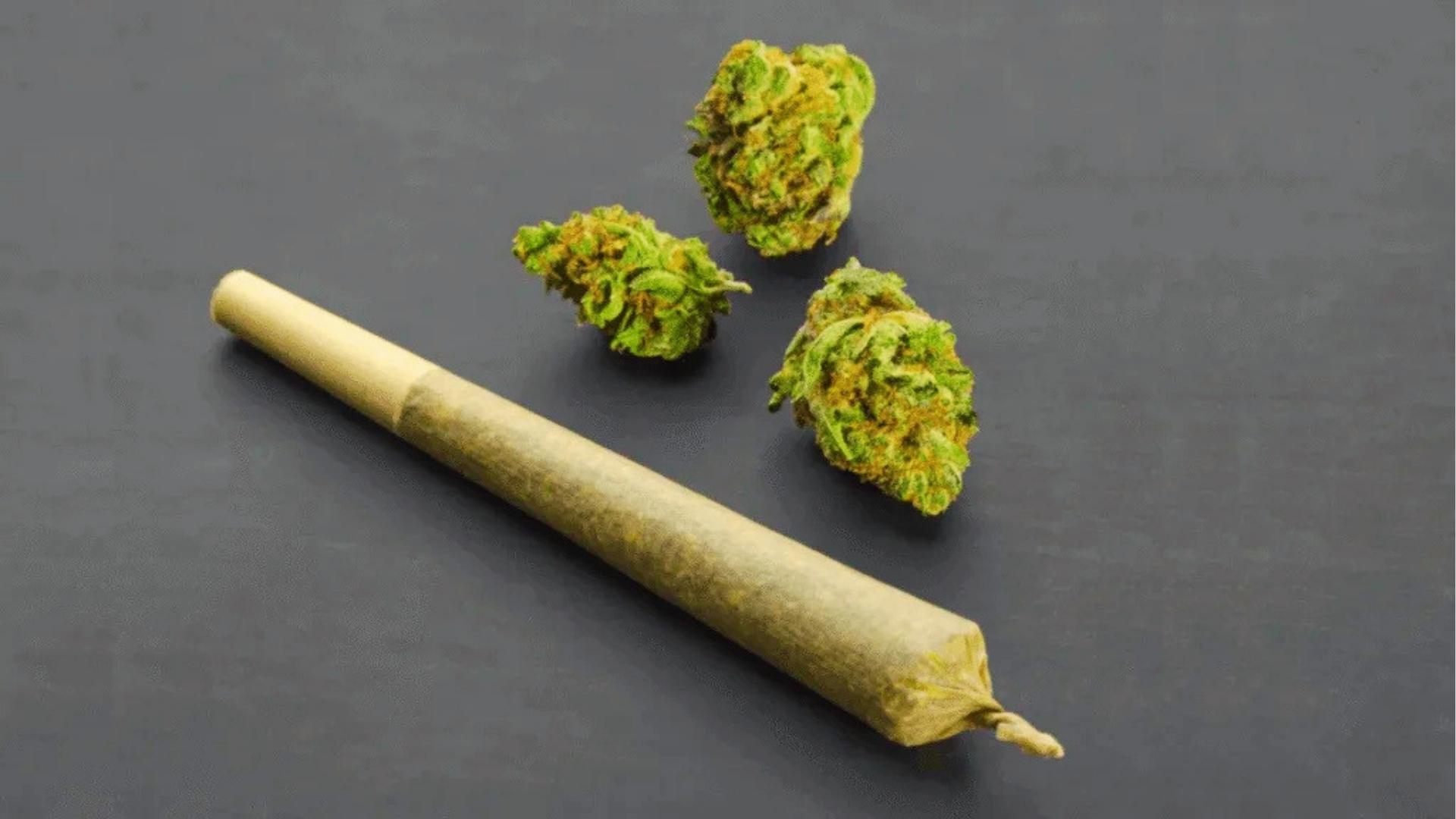 Rolled cannabis joint beside three green buds with orange hairs displayed on smooth dark gray surface for product photography.