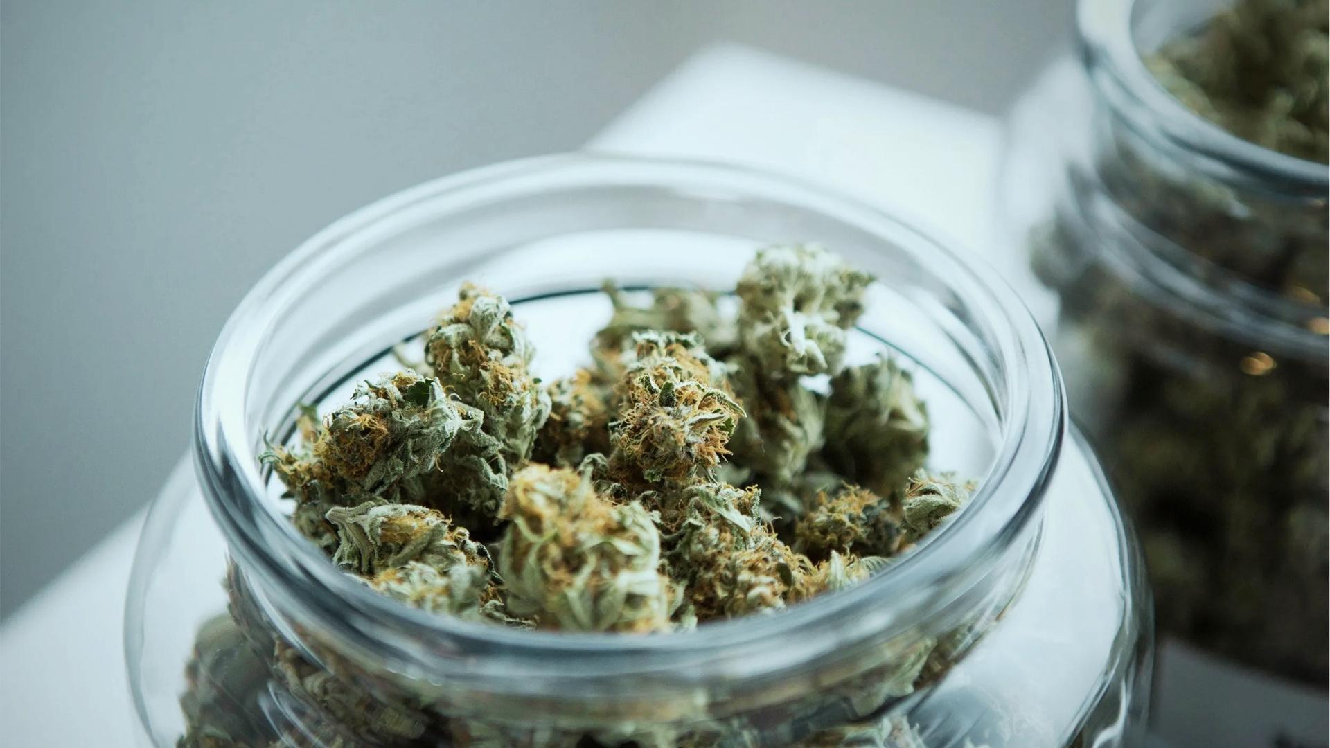 Glass jars filled with dense frosty cannabis buds featuring orange pistils and trichomes sit on a bright white surface in focus.