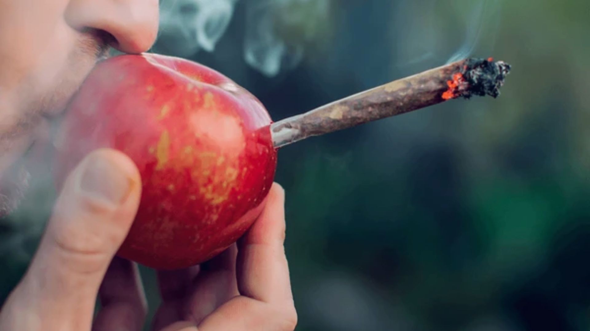 "Close-up of a person holding a red apple with a lit smoking object inserted into it, smoke rising against a blurred outdoor background"