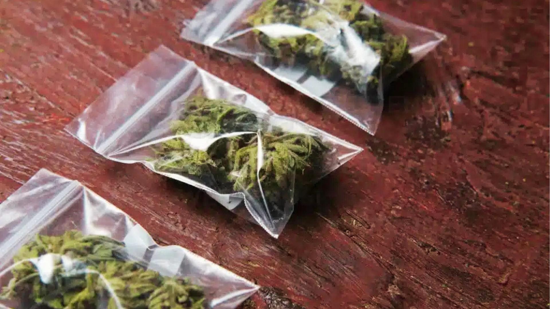 Three small clear plastic ziplock bags filled with green cannabis buds arranged diagonally on textured red wooden tabletop.