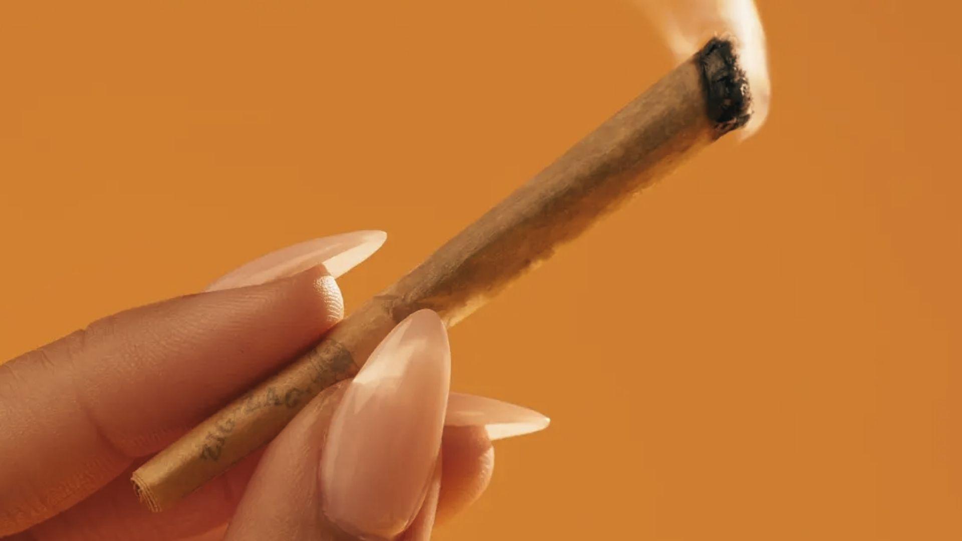 Hand with long manicured nails holding lit cannabis joint against solid burnt orange background