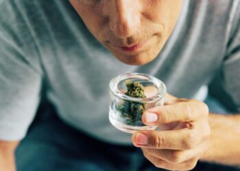 Man in gray shirt leans forward holding a small glass jar of cannabis buds close to his nose to smell the aroma.