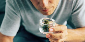 Man in gray shirt leans forward holding a small glass jar of cannabis buds close to his nose to smell the aroma.