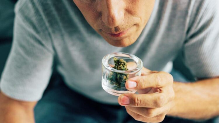 Man in gray shirt leans forward holding a small glass jar of cannabis buds close to his nose to smell the aroma.